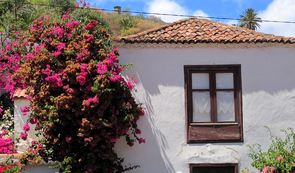 MITTWOCH: Foto-Inselrundfahrt