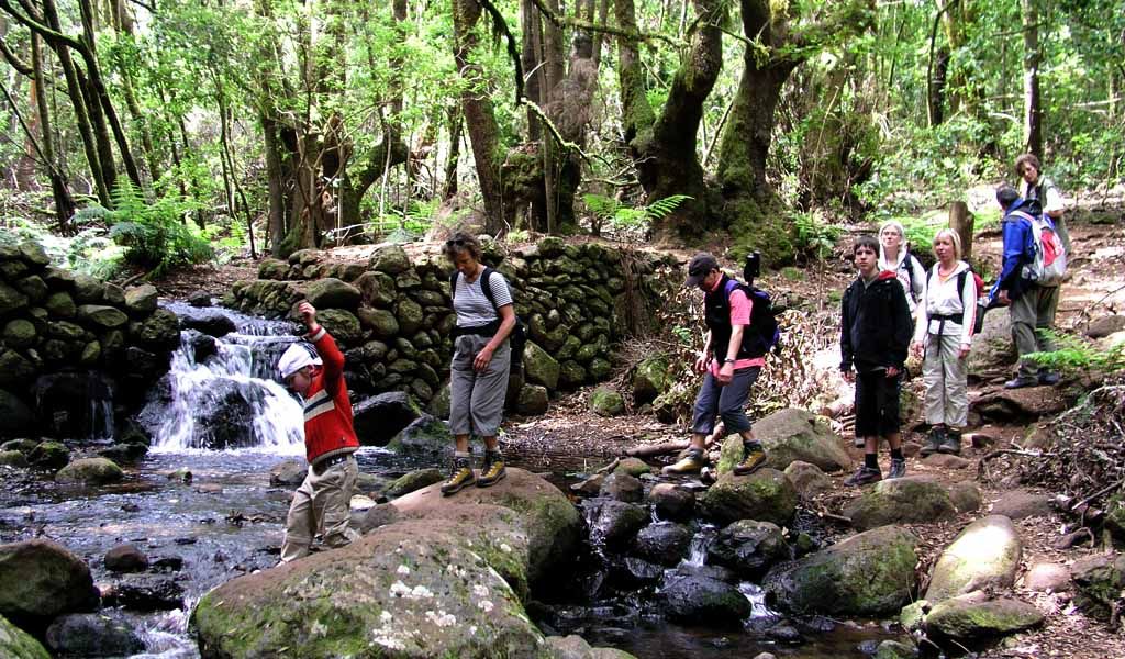 TUESDAY: The Rain Forest (El Cedro)
